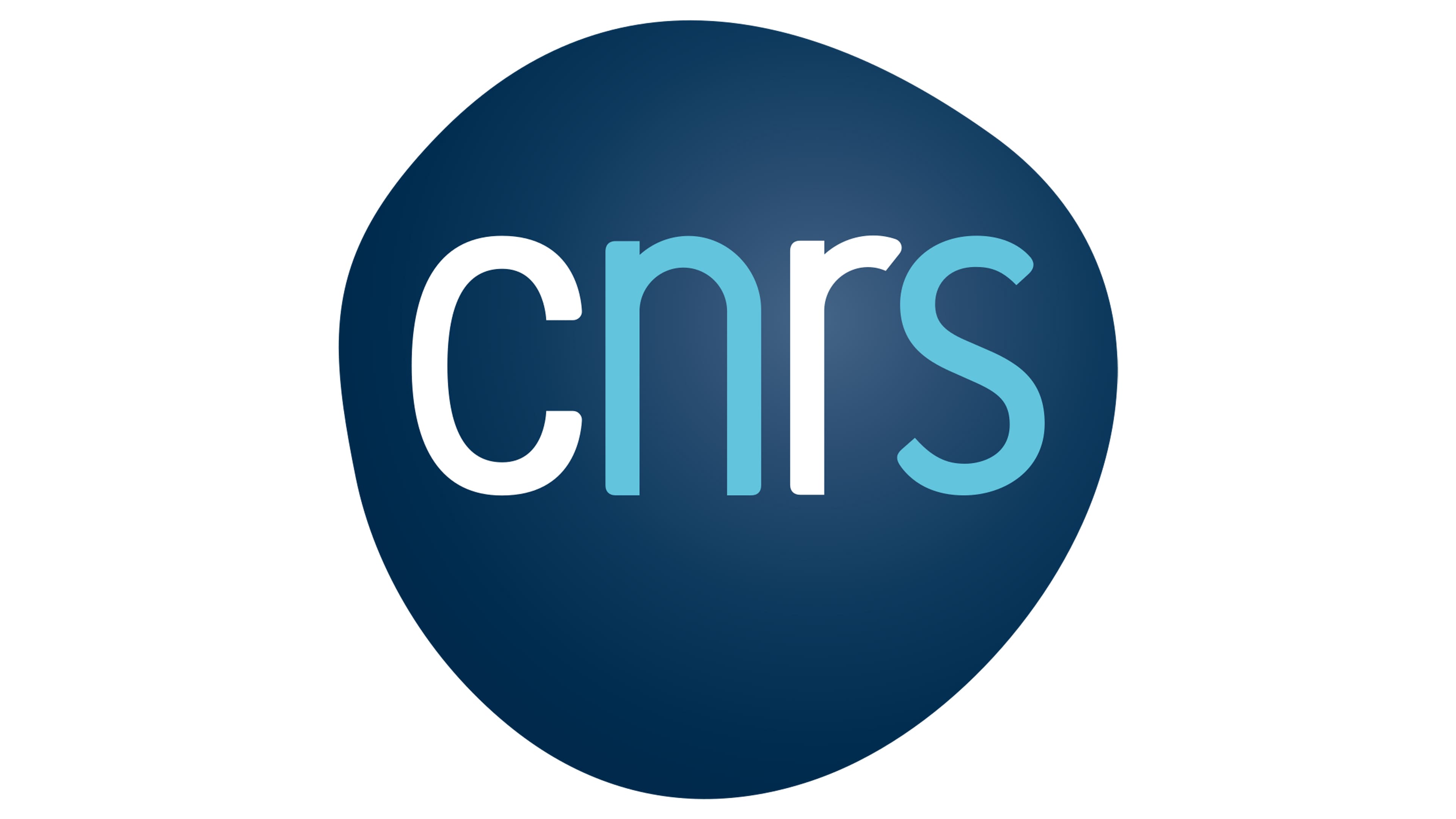 CNRS-Logo