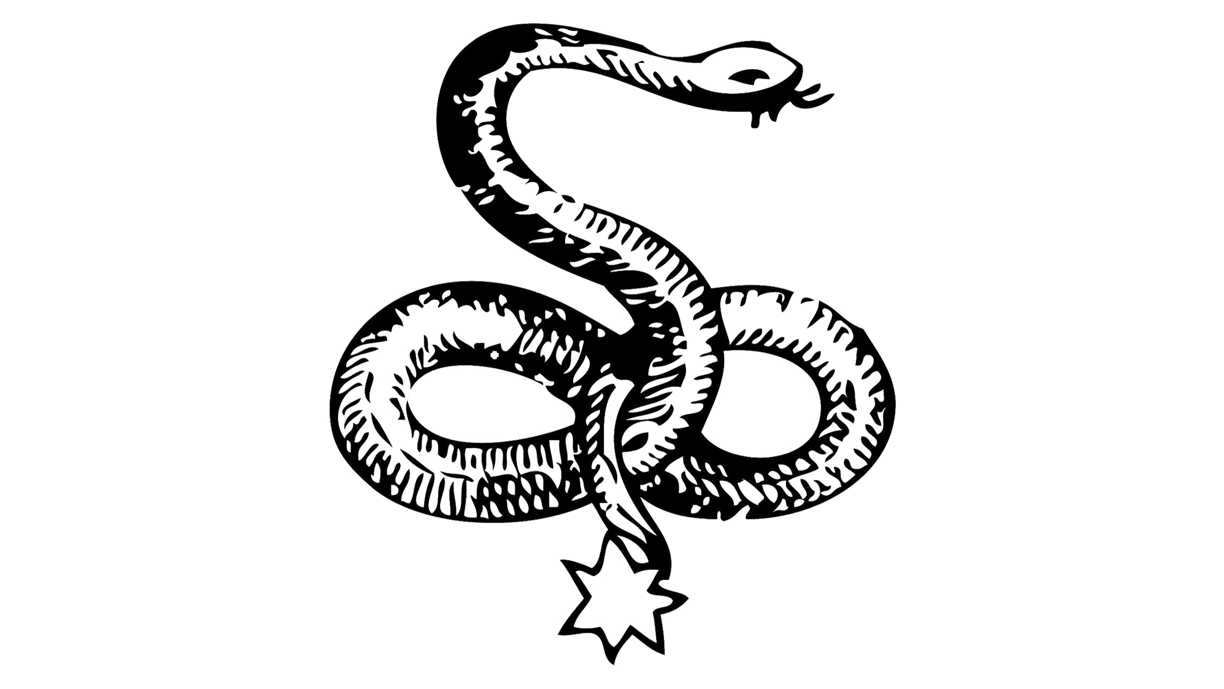 The-Snake-Symbol