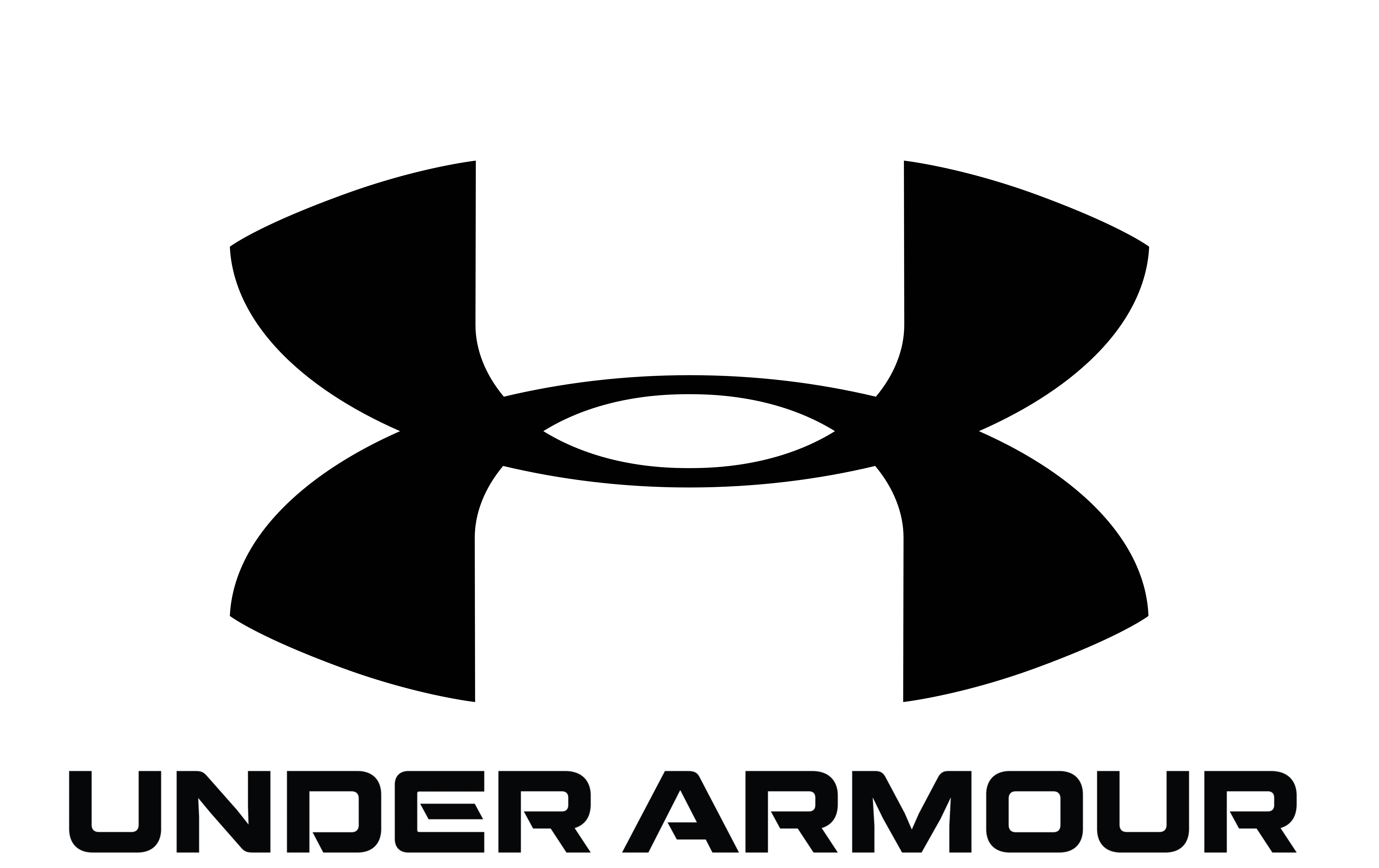 Under-Armour-logo-8